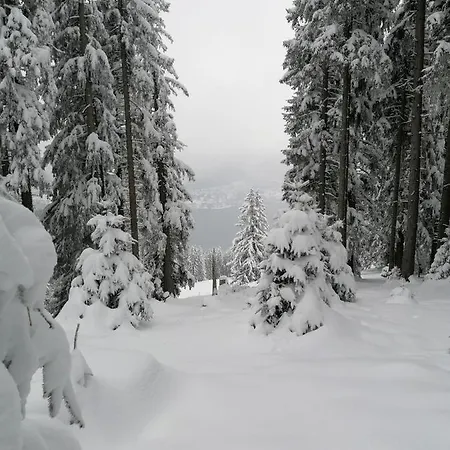 Holiday home Region Tegernsee Miesbach